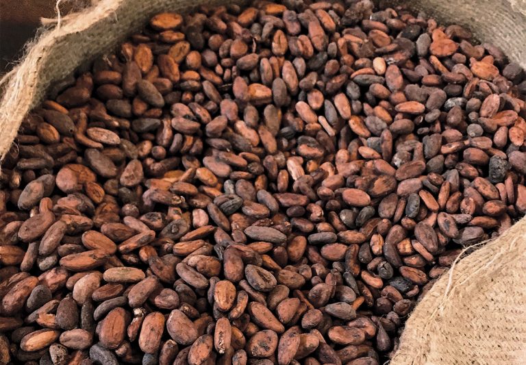 cocoa-beans-1