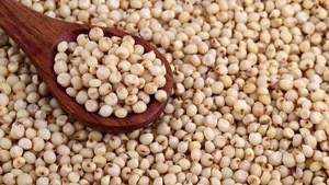 high-quality-red-sorghumwhite-sorghum-for-sale1-0537126001552579659